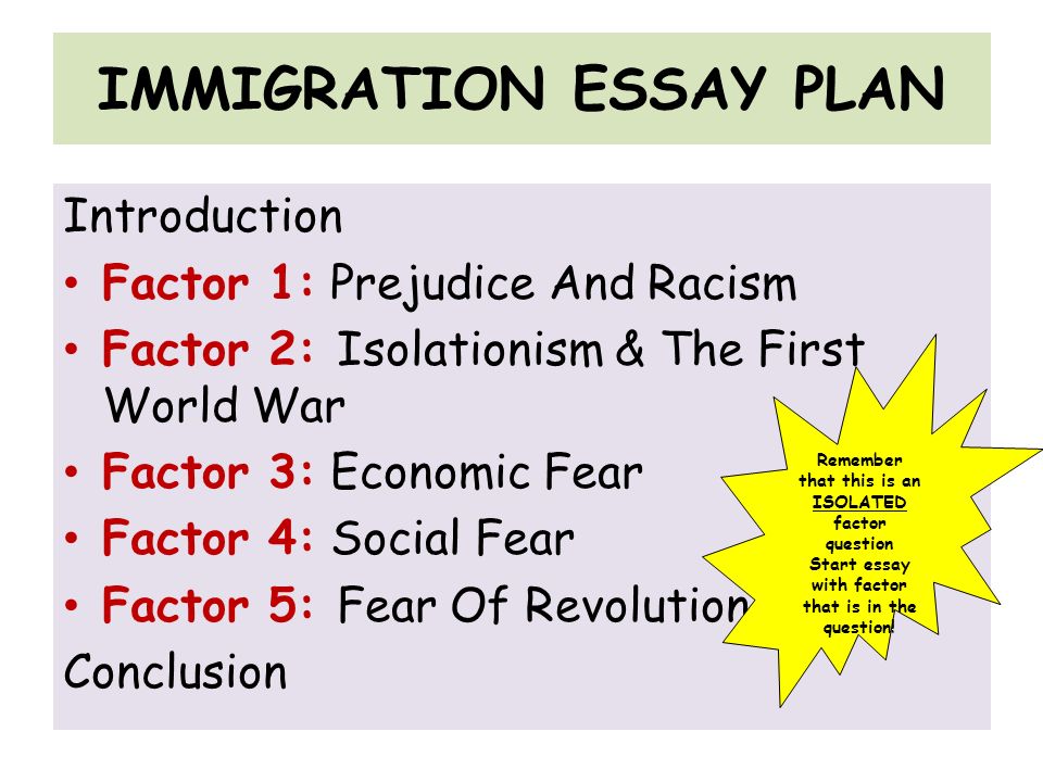 Toward something american the immigrant soul essay
